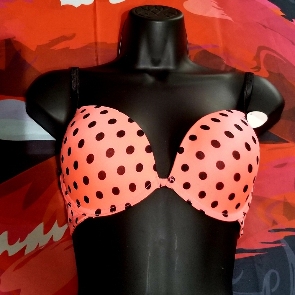 Hot Polka Express